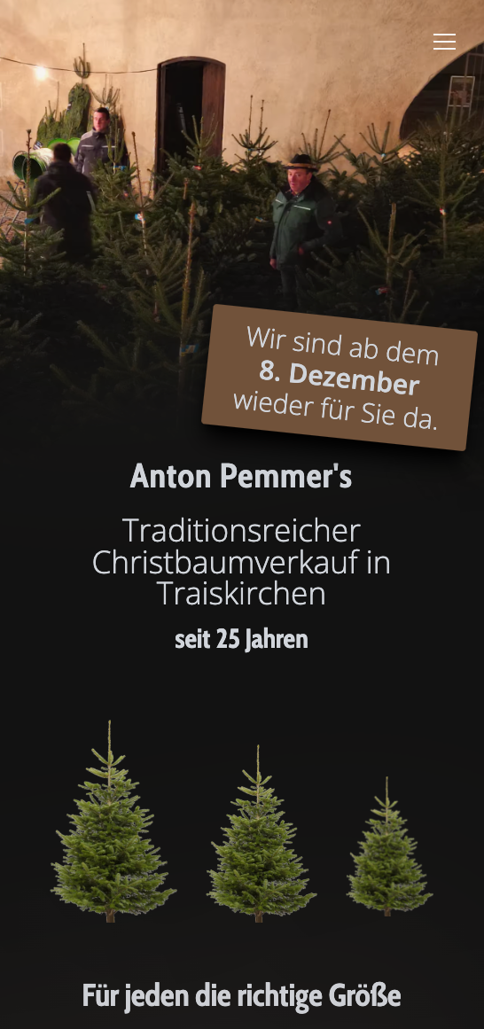 Ein Screenshot von der Startseite von der Webseite www.anton-pemmer.at