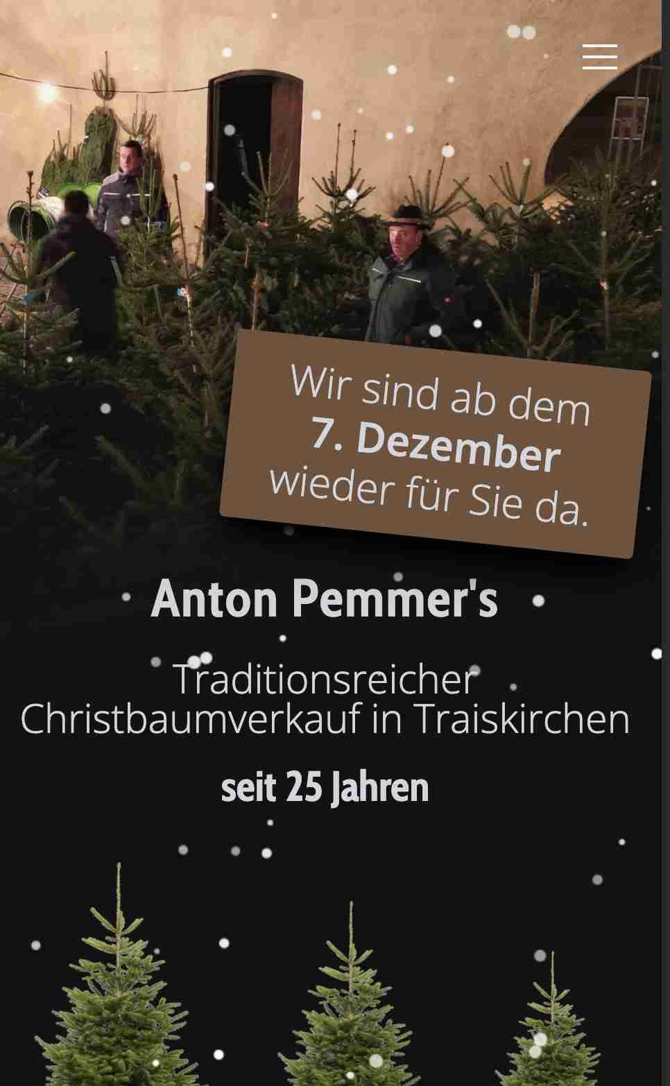 Screenshot von www.anton-pemmer.at