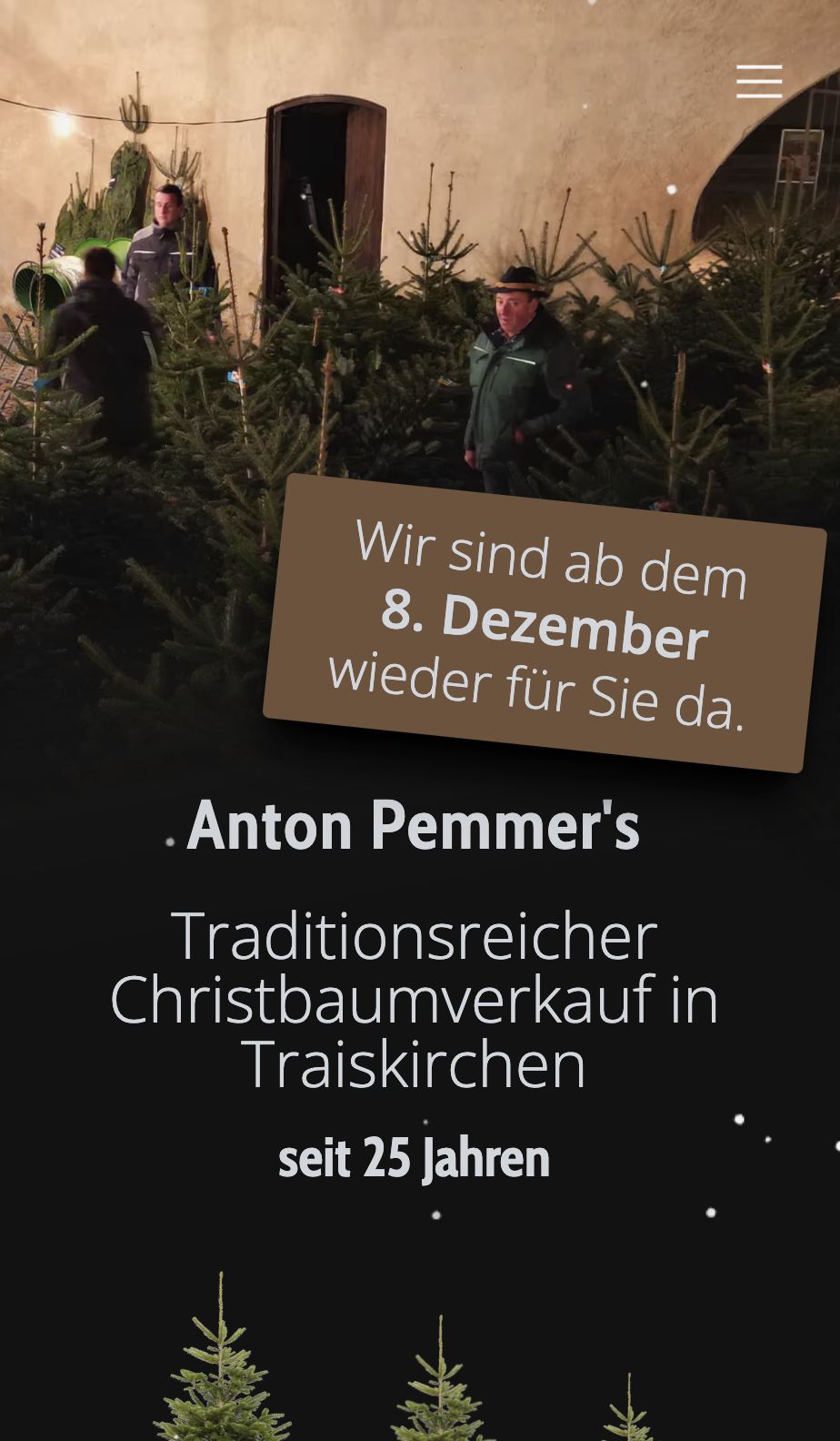 Screenshot von der Website www.anton-pemmer.at