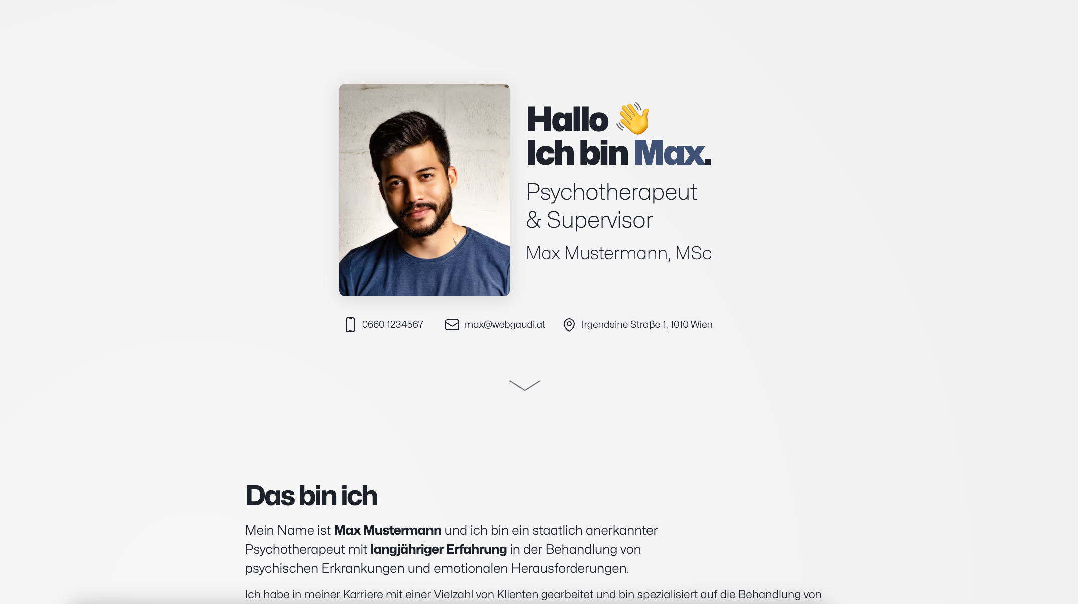 Screenshot von der Vorlage 1 webgaudi.at/demo1