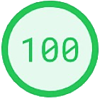 Google PageSpeed Insights Score 100