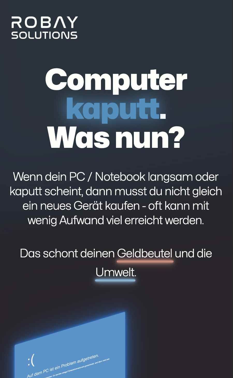 Screenshot von www.robay-solutions.at