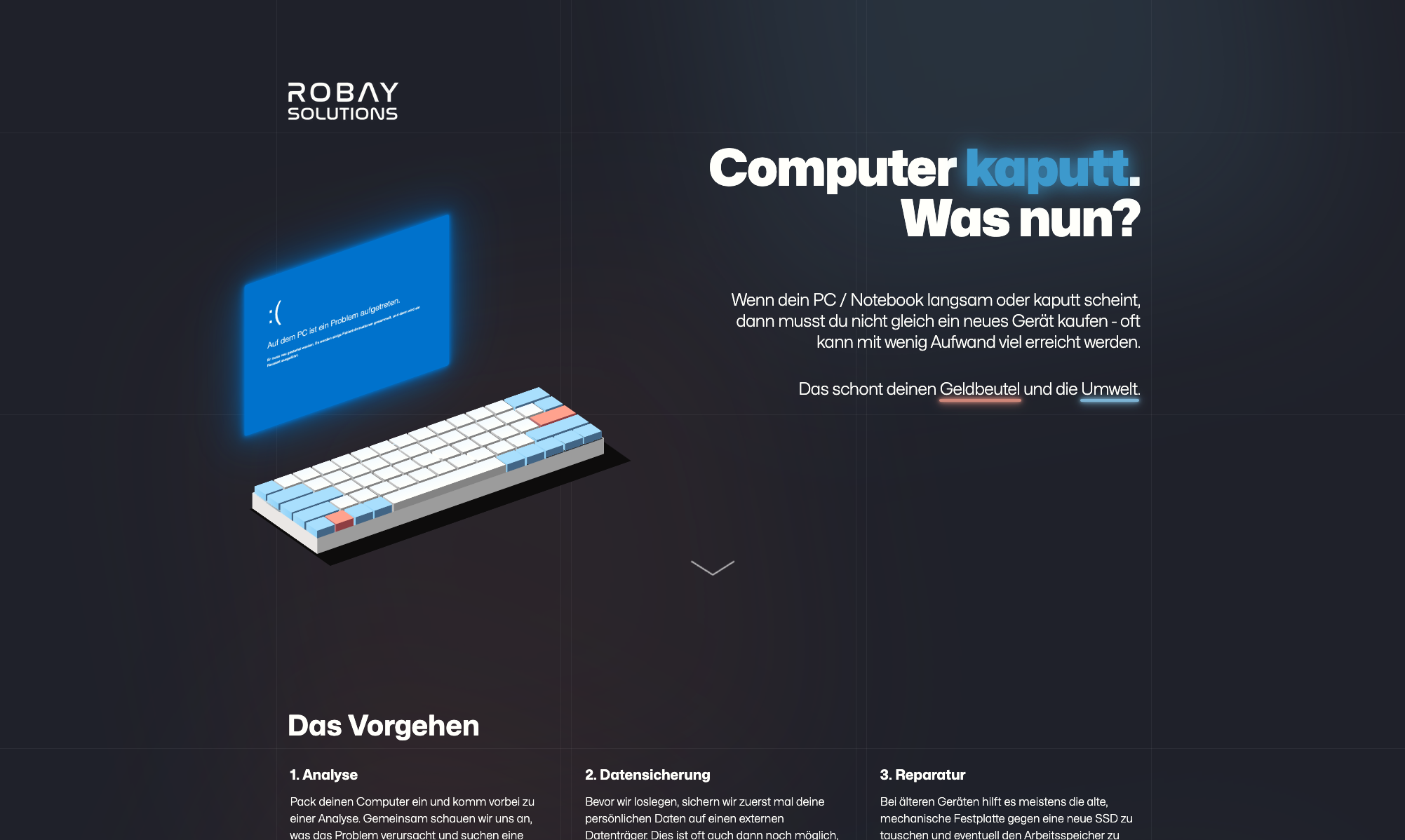 Screenshot von der Website www.robay-solutions.at