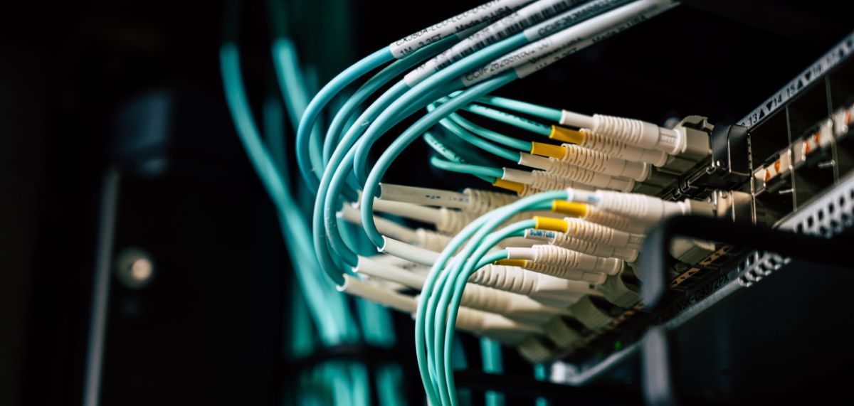 Ein Bild von einem Ehternet Switch mit vielen Kabeln