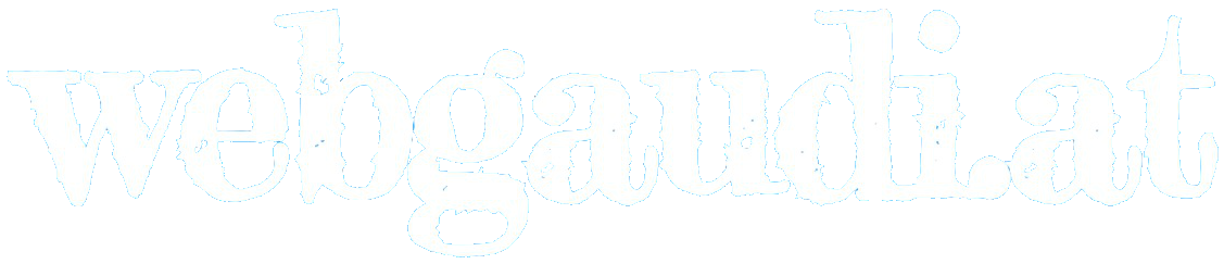 Ein Logo mit der weißen Schrift webgaudi.at auf hellblauem Hintergrund